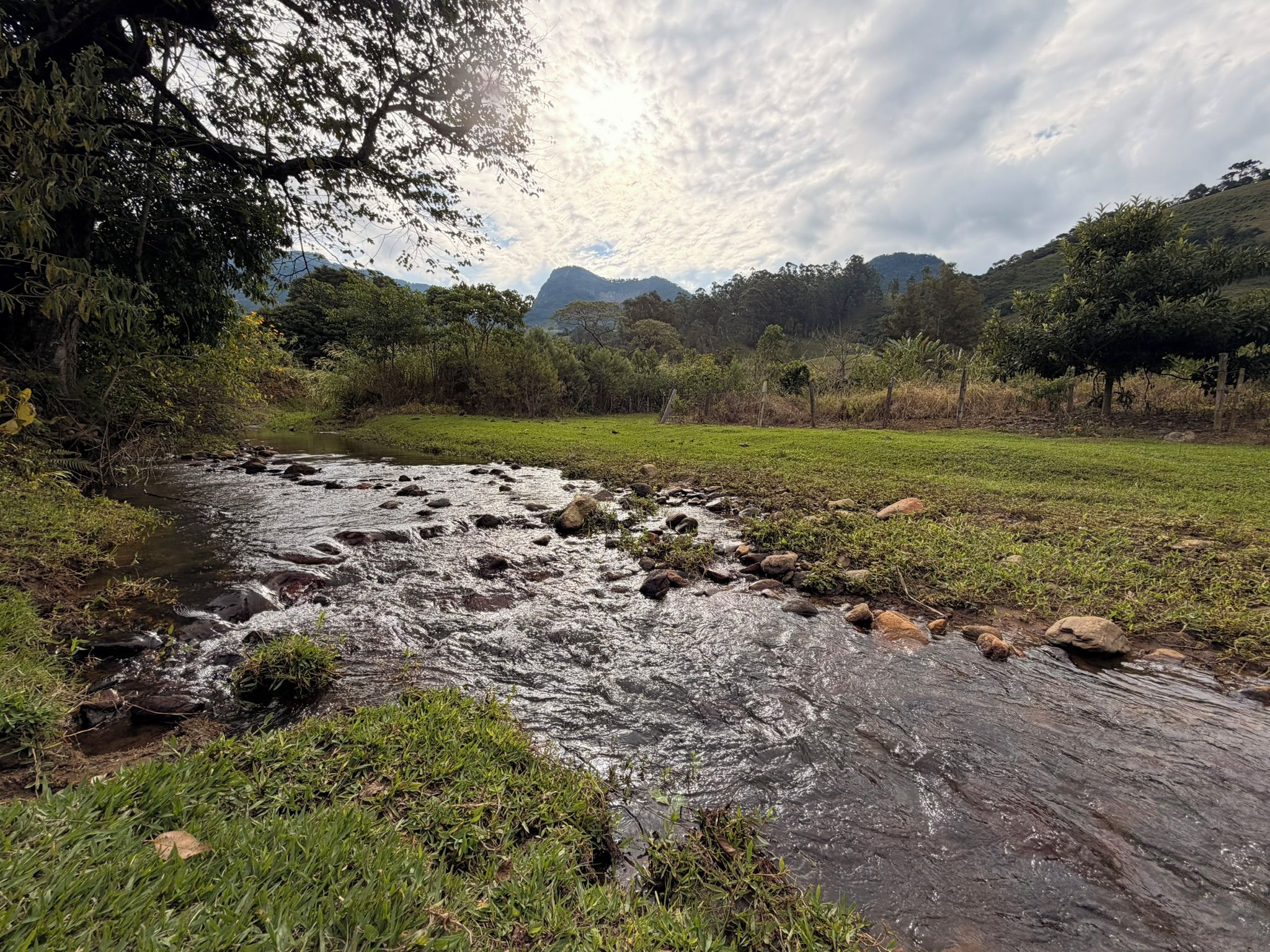 Paisagem natural com um rio sinuoso, áreas gramadas e árvores.