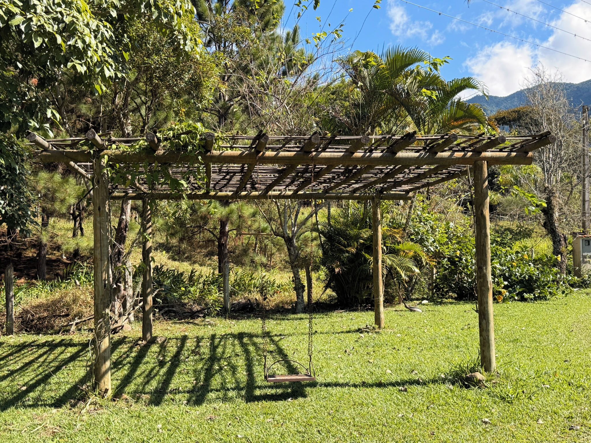 Una estructura de pérgola de madera con una hamaca en un jardín exuberante.