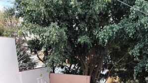 Property grounds - Second-floor apartment for 5 people near B. Quintana (Santiago de Querétaro)