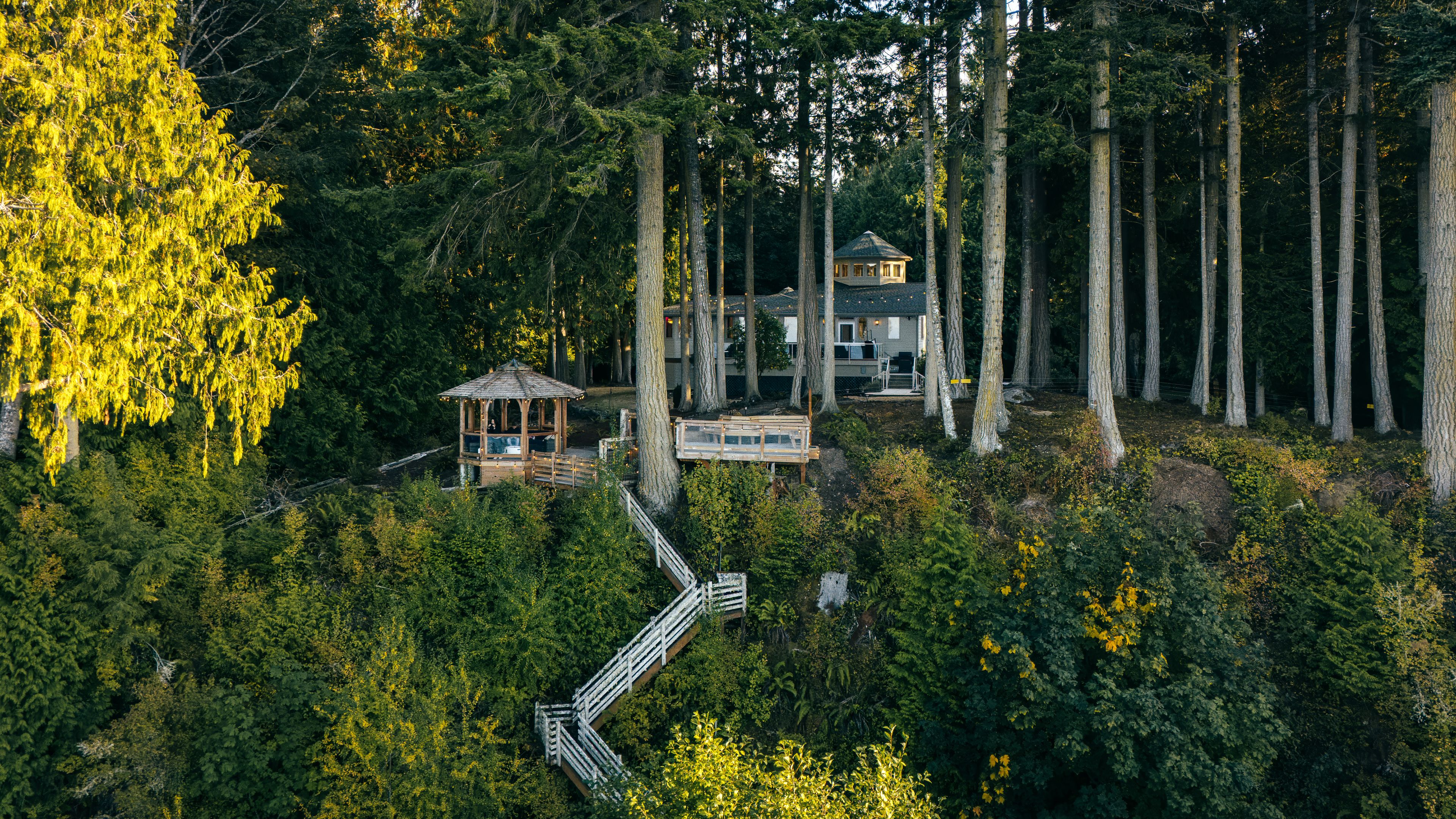 Una zona boscosa con un gazebo in legno e una casa circondata da alberi alti.