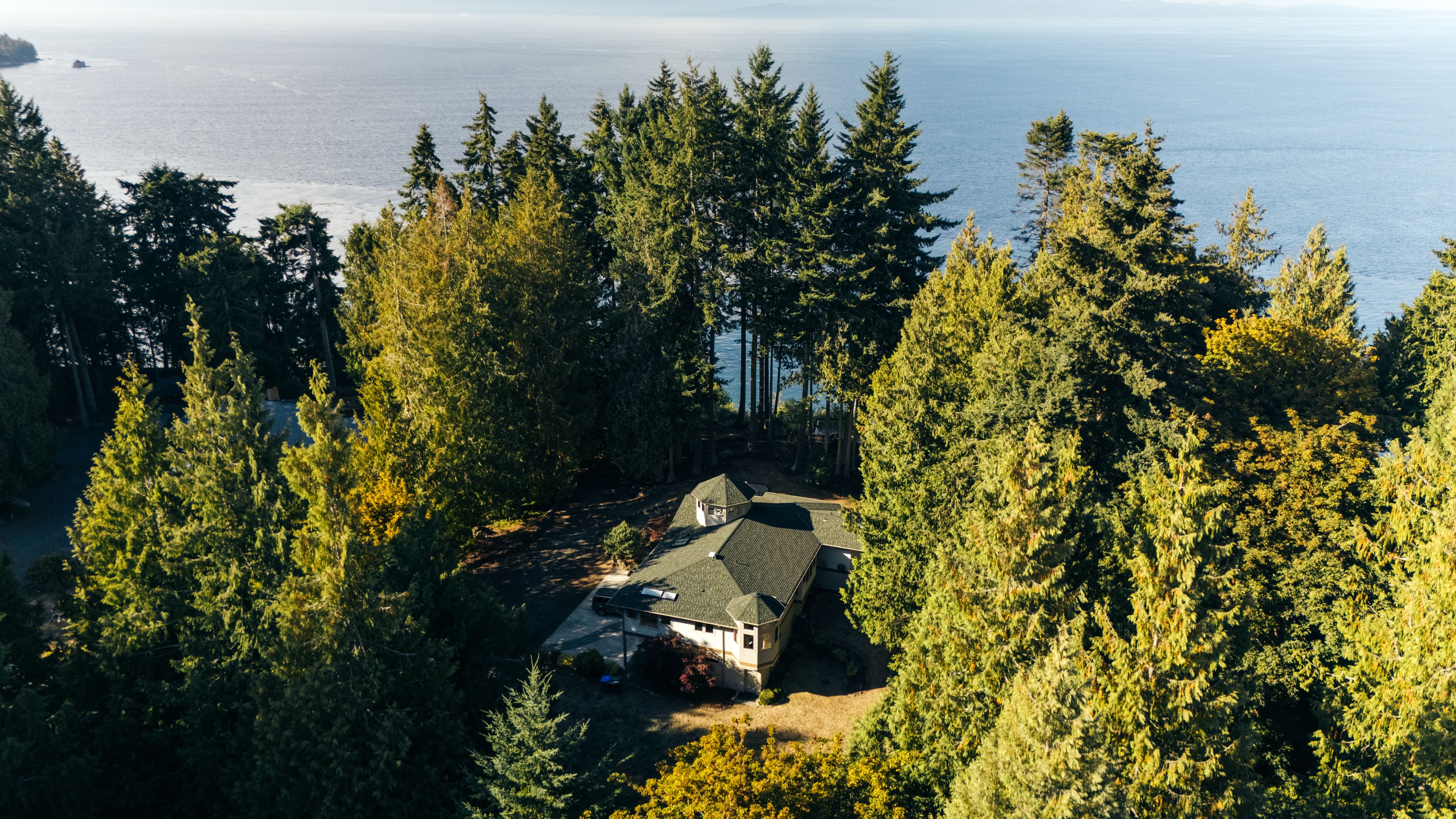Una casa circondata da una fitta foresta con vista sull'oceano.