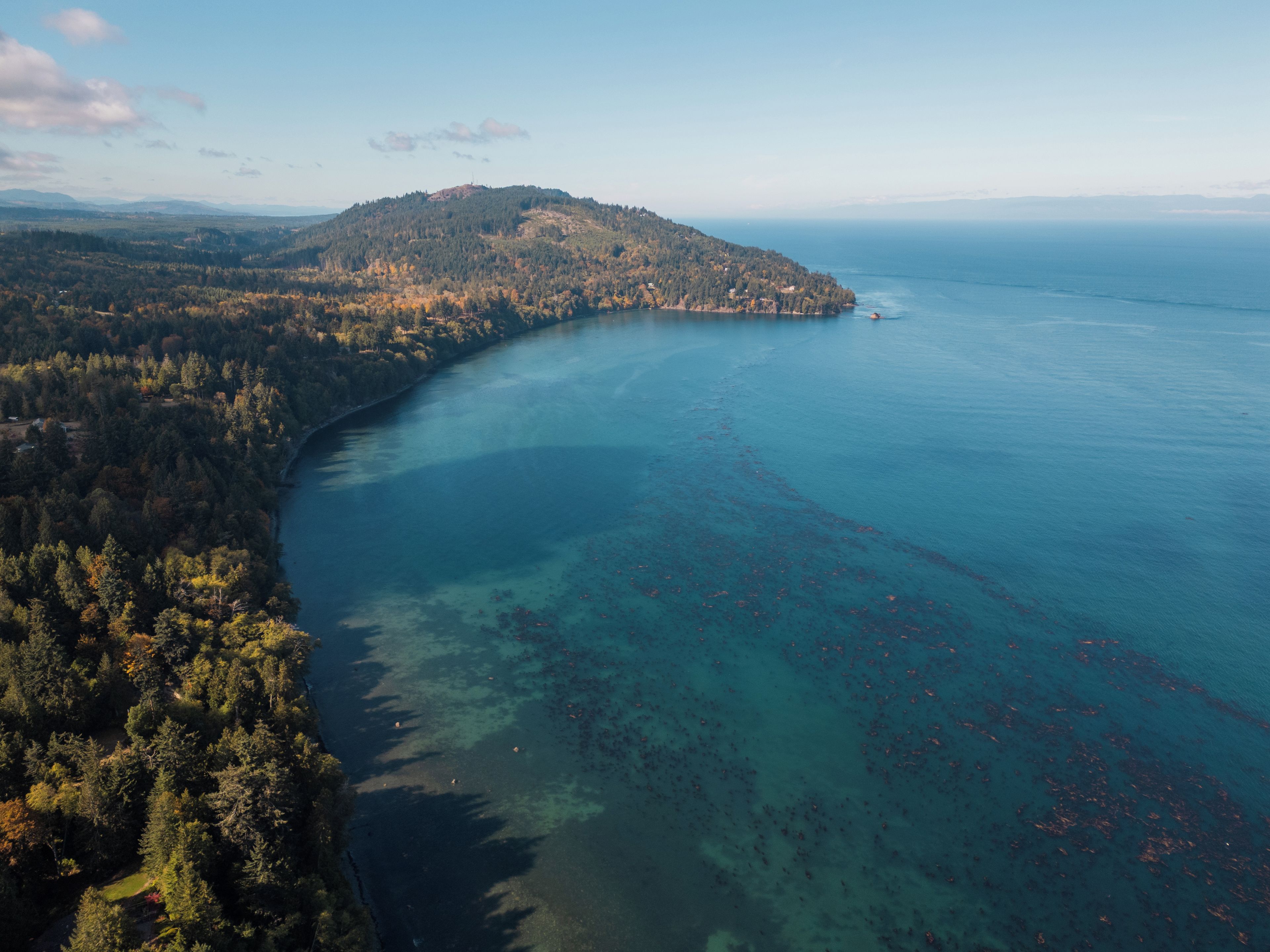 An aerial view of a coastal area with a forested peninsula and clear blue waters.