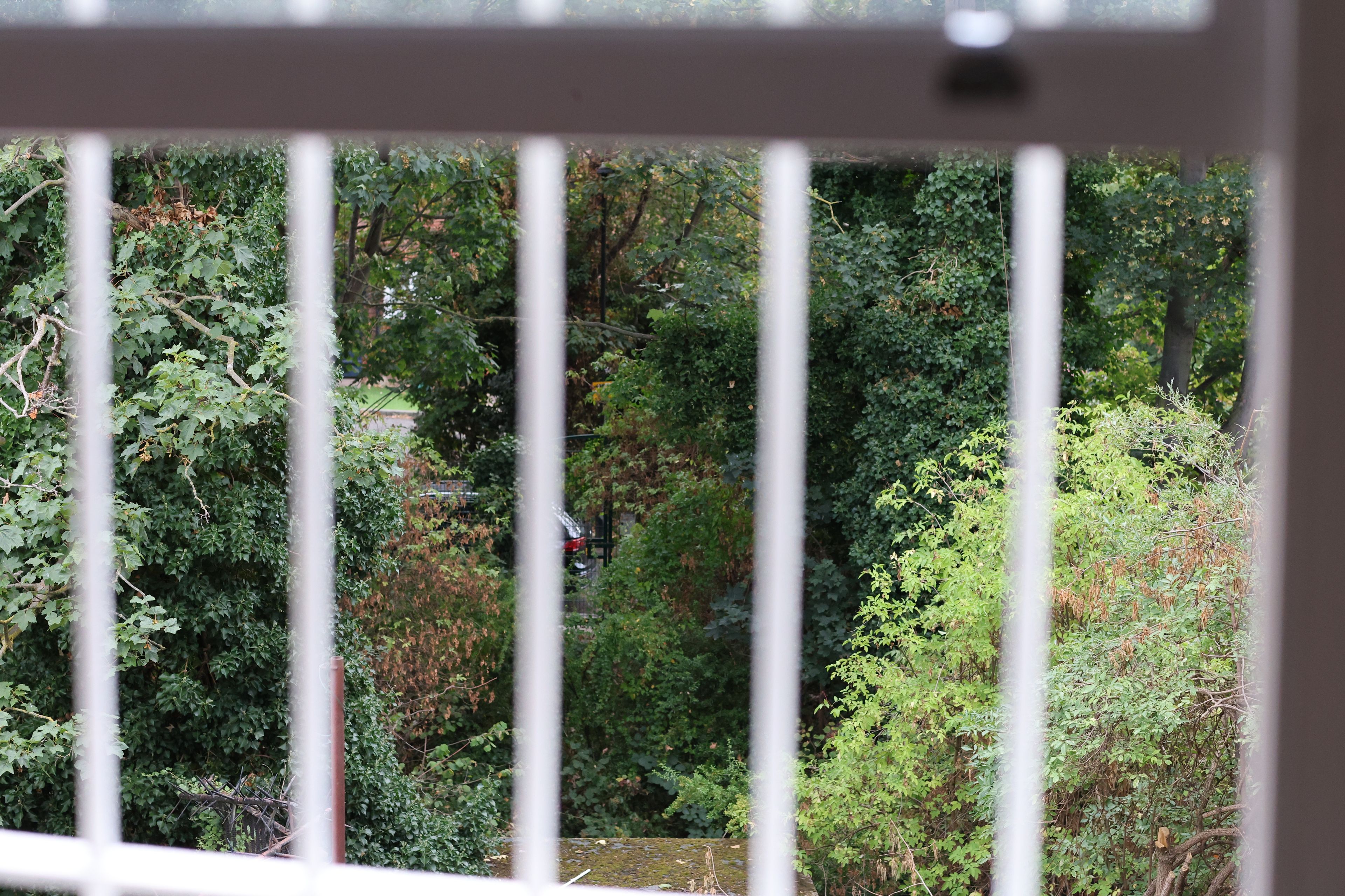 Uitzicht door een metalen hek met weelderige begroeiing en een waterpartij op de achtergrond.