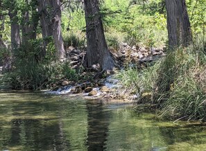 A natural landscape with a clear stream, surrounded by trees and vegetation.