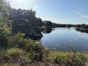 Ein ruhiger See, umgeben von dichtem Grün und Bäumen.