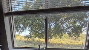 Eine Küche mit einer doppelten Spüle, einem Fenster mit Blick auf Bäume und einer Flasche Geschirrspülmittel.