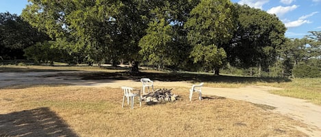 A large tree in a park with a dirt ground and white chairs.