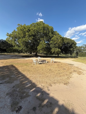 A large tree in a park with a dirt ground and white chairs. - Cute and Cozy 2 room cottage on the Medina River. (Bandera)