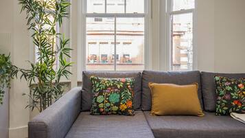 A gray sofa with floral cushions, a potted plant, and a view of buildings through a window.