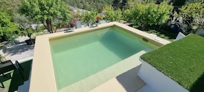 Una piscina rettangolare dalla sfumatura verdognola, circondata da un muretto bianco e un'area di prato sintetico.