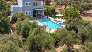 Una casa moderna con piscina rodeada de exuberante vegetación.