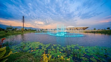 Um espelho d'água com fontes e nenúfares em um parque.