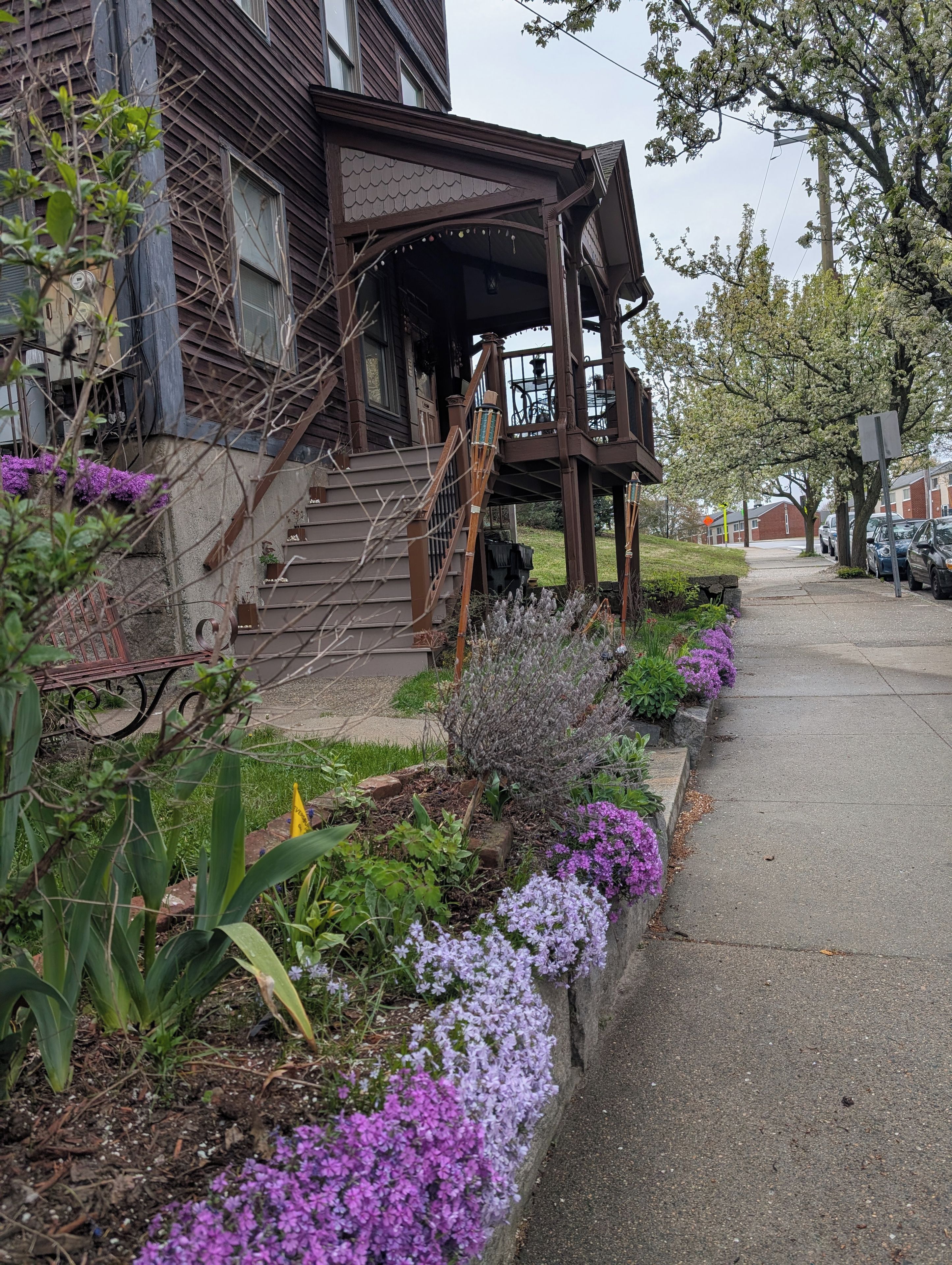 A residential house with a front porch, steps, and a garden with purple flowers.