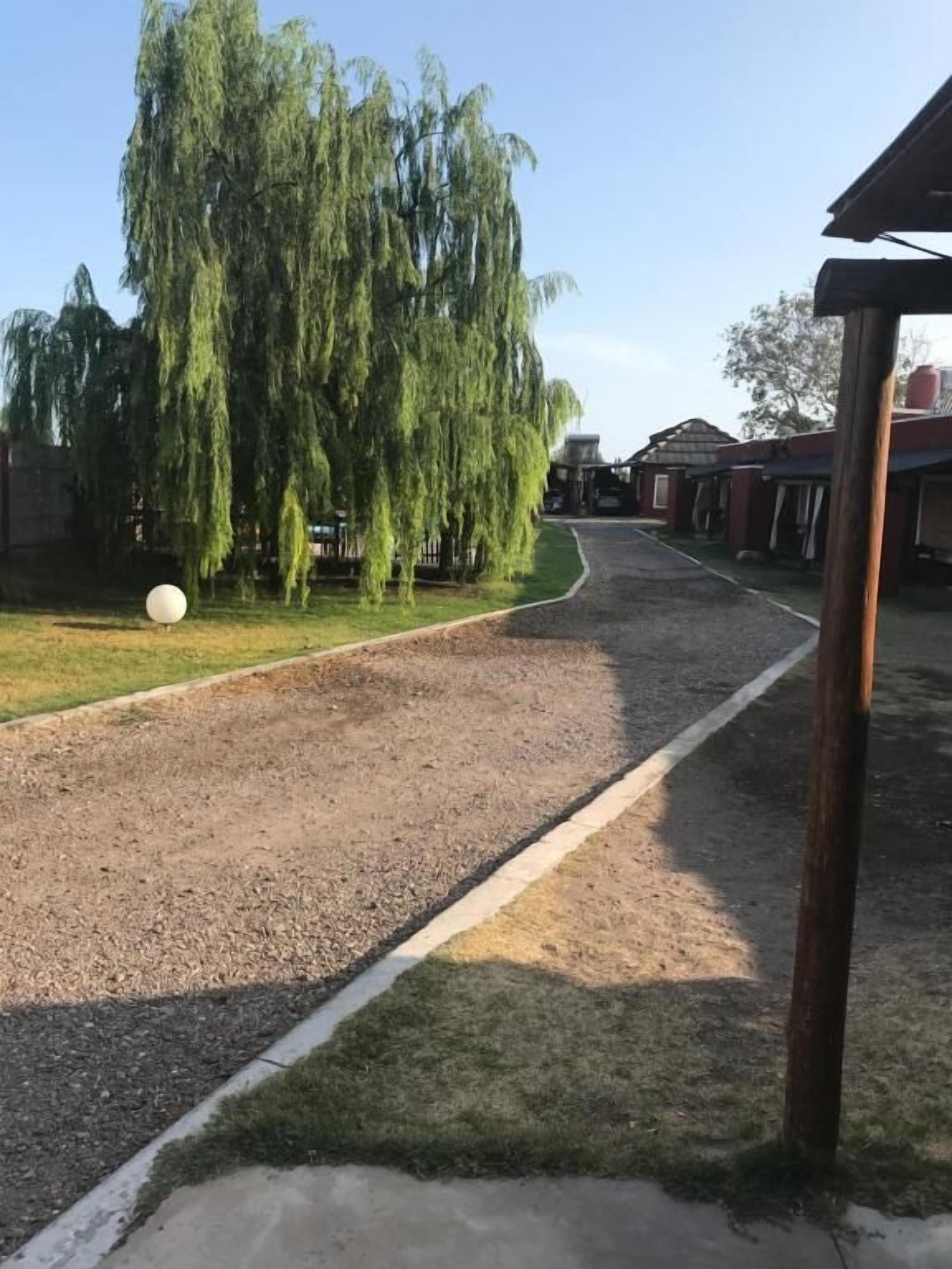 A residential street with a gravel driveway, a grassy area, and a large weeping willow tree.