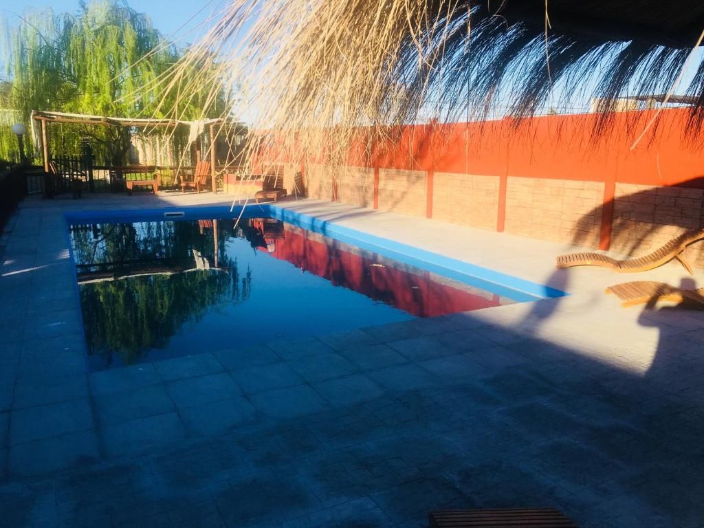 Una piscina con superficie de agua cristalina, rodeada por una terraza con baldosas y un muro de ladrillo.