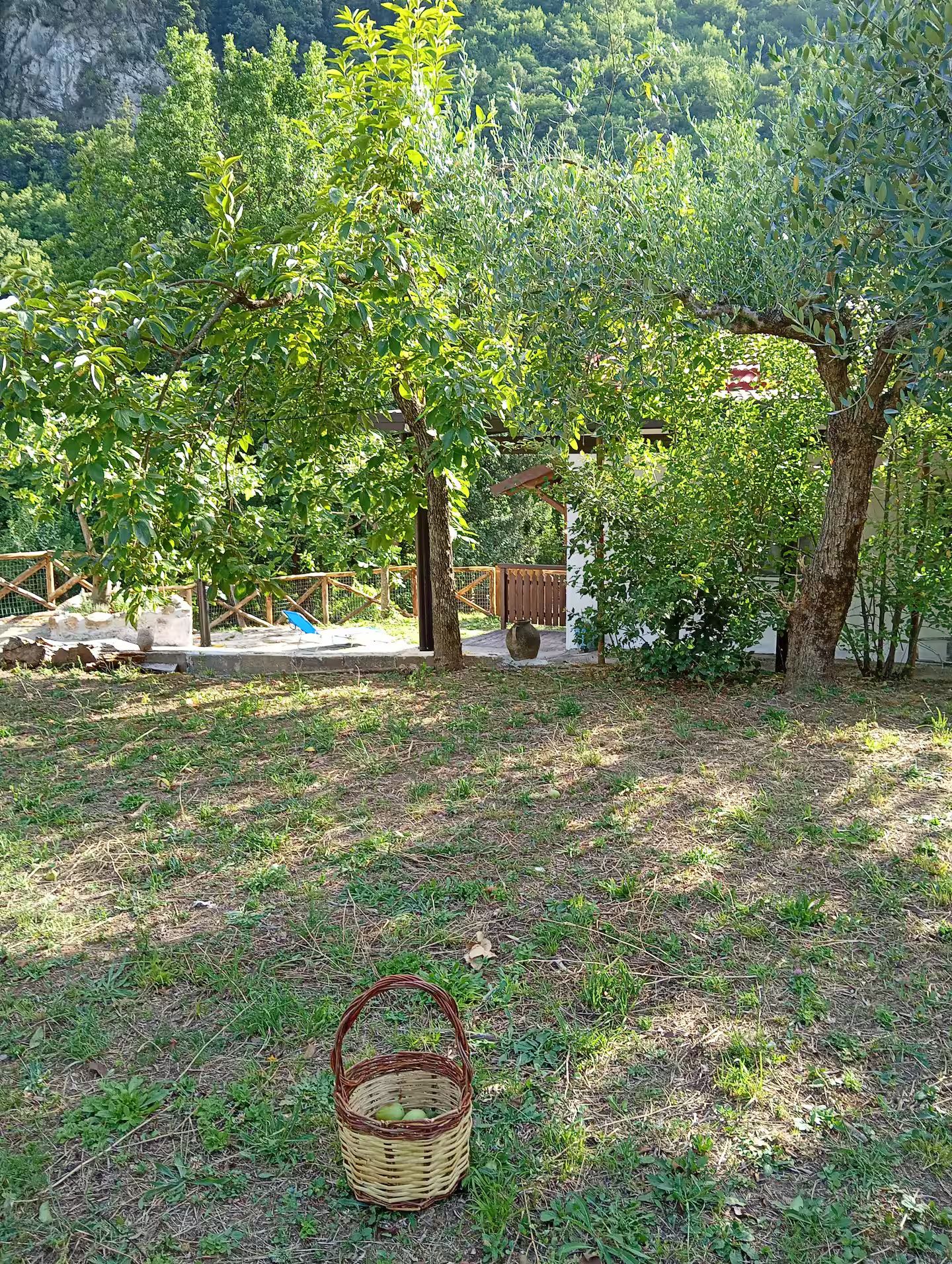 A basket on the ground with a natural landscape in the background.