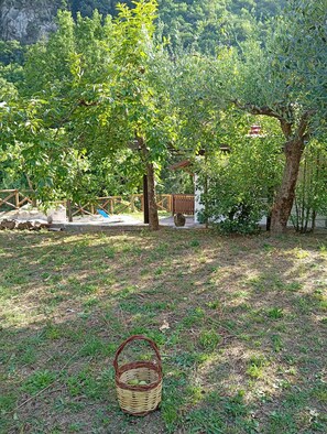 A basket on the ground with a natural landscape in the background.