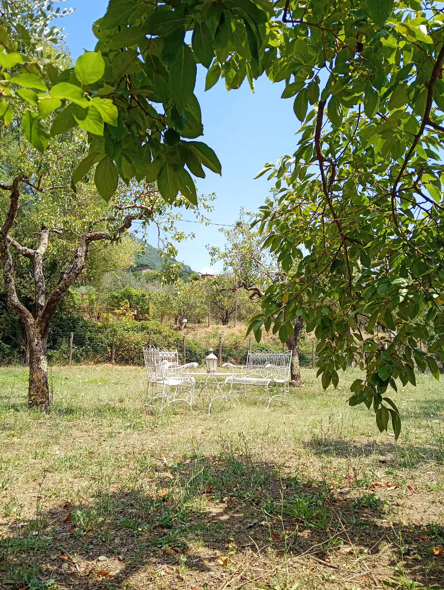 An outdoor seating area with metal chairs and tables, surrounded by trees and grass.