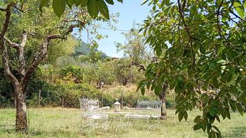 An outdoor seating area with metal chairs and tables, surrounded by trees and grass.