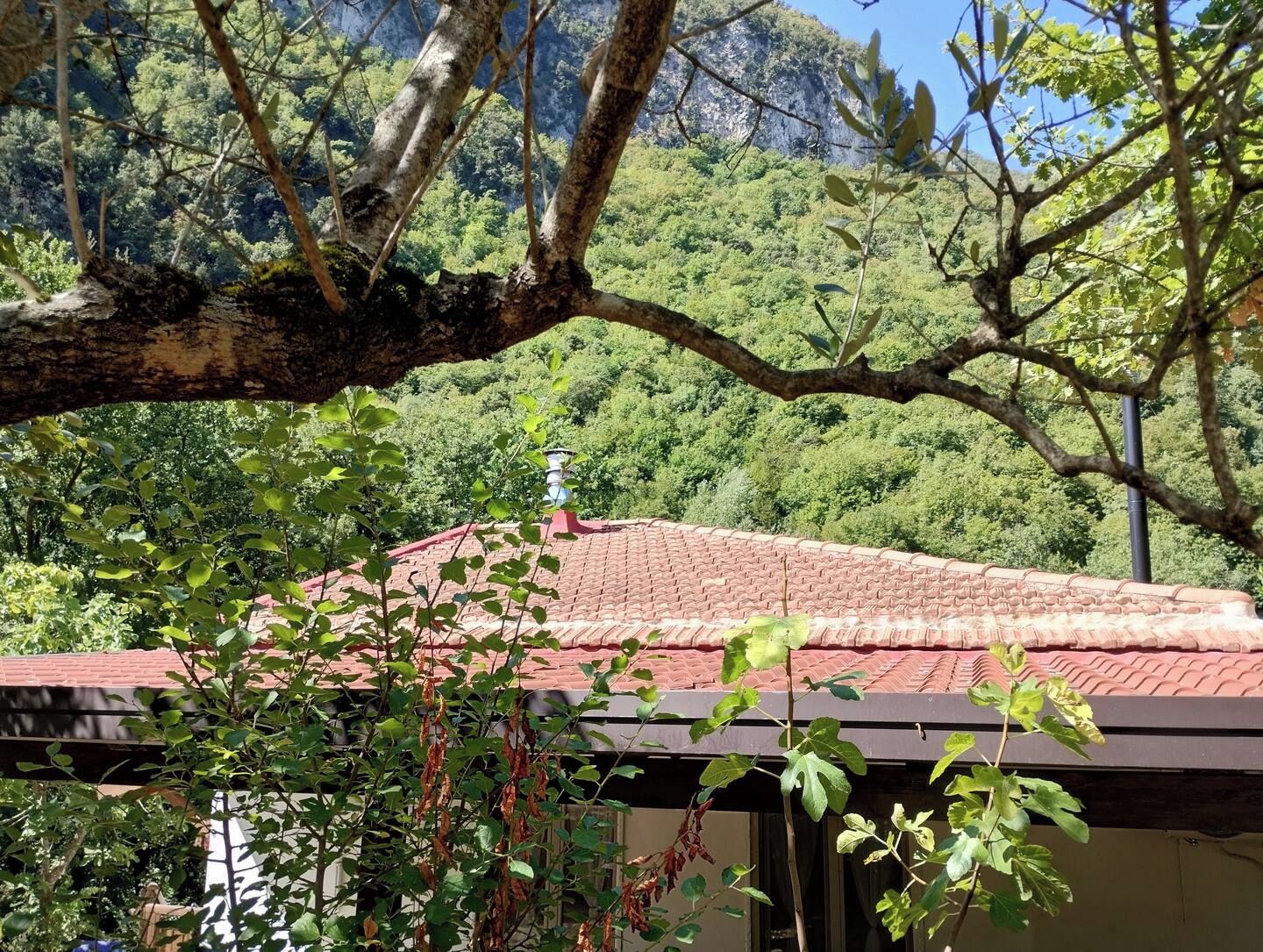 A building with a red-tiled roof, surrounded by lush greenery and trees.
