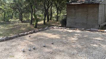 A gravel area with a wooden shed and trees in the background.