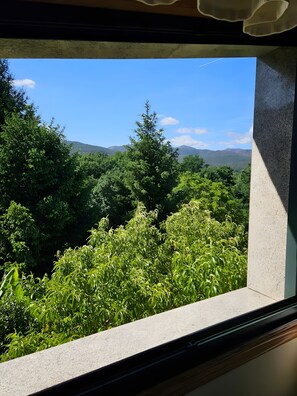 A window with a view of dense green foliage and distant mountains.