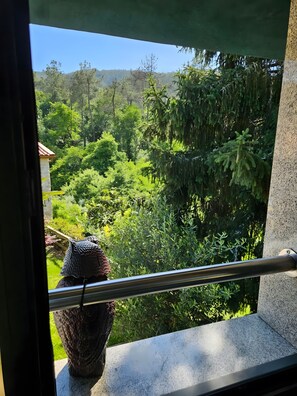 Un balcon donnant sur un paysage verdoyant et luxuriant, avec une structure en pierre.