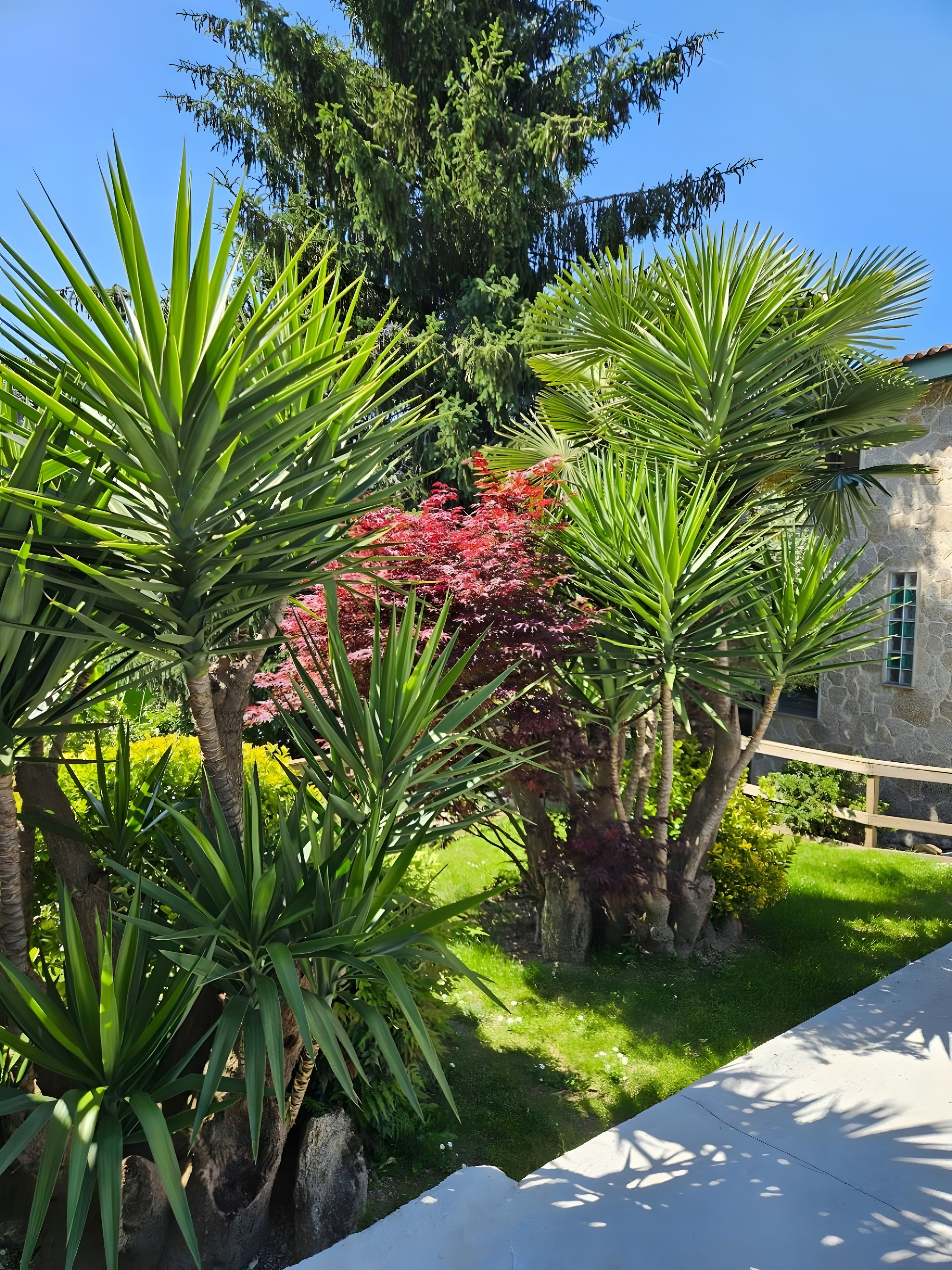 Un jardín con diversas plantas, un edificio de piedra y un cielo azul despejado.