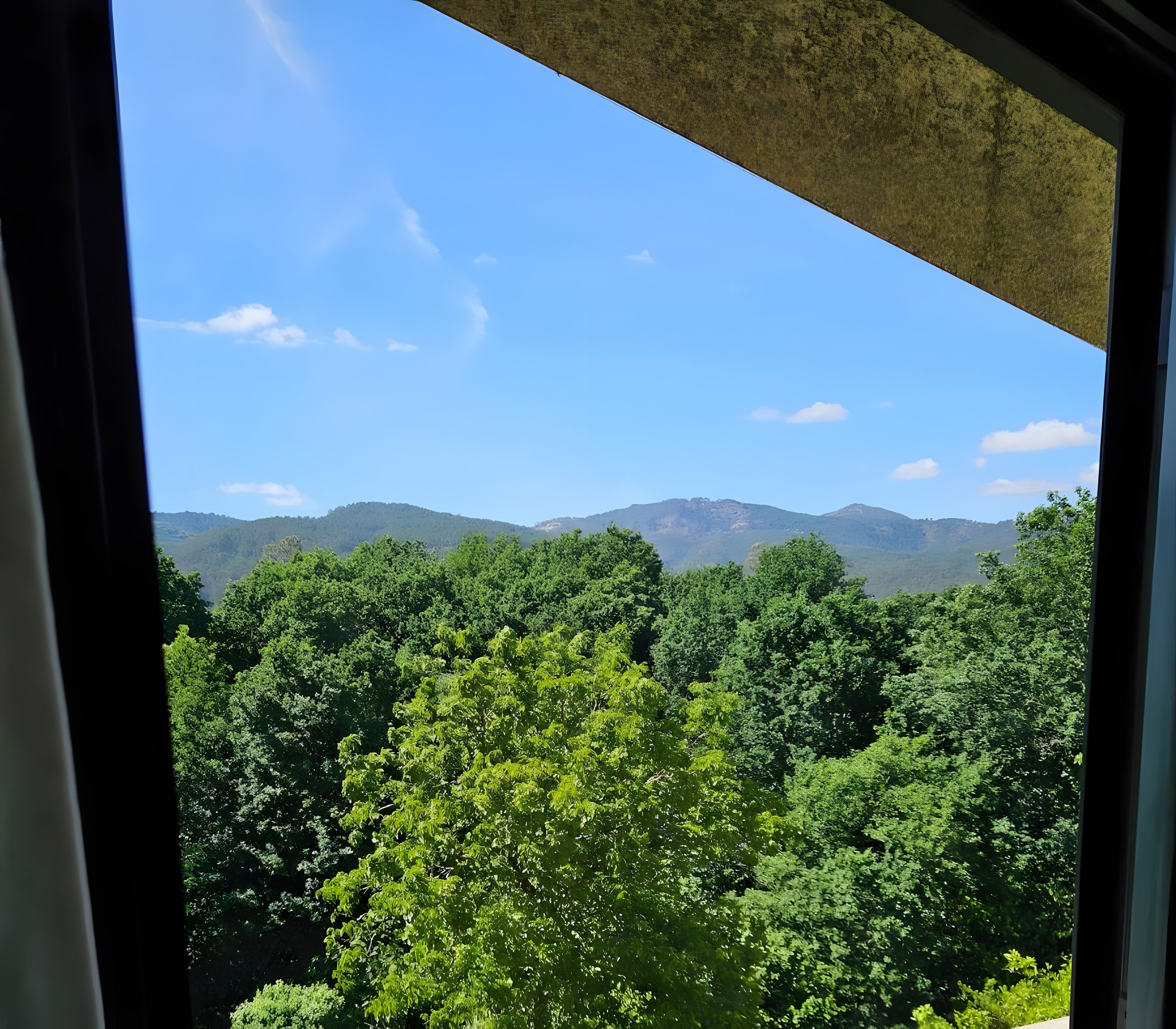 Blick durch ein Fenster auf eine bewaldete Landschaft mit Bergen in der Ferne.