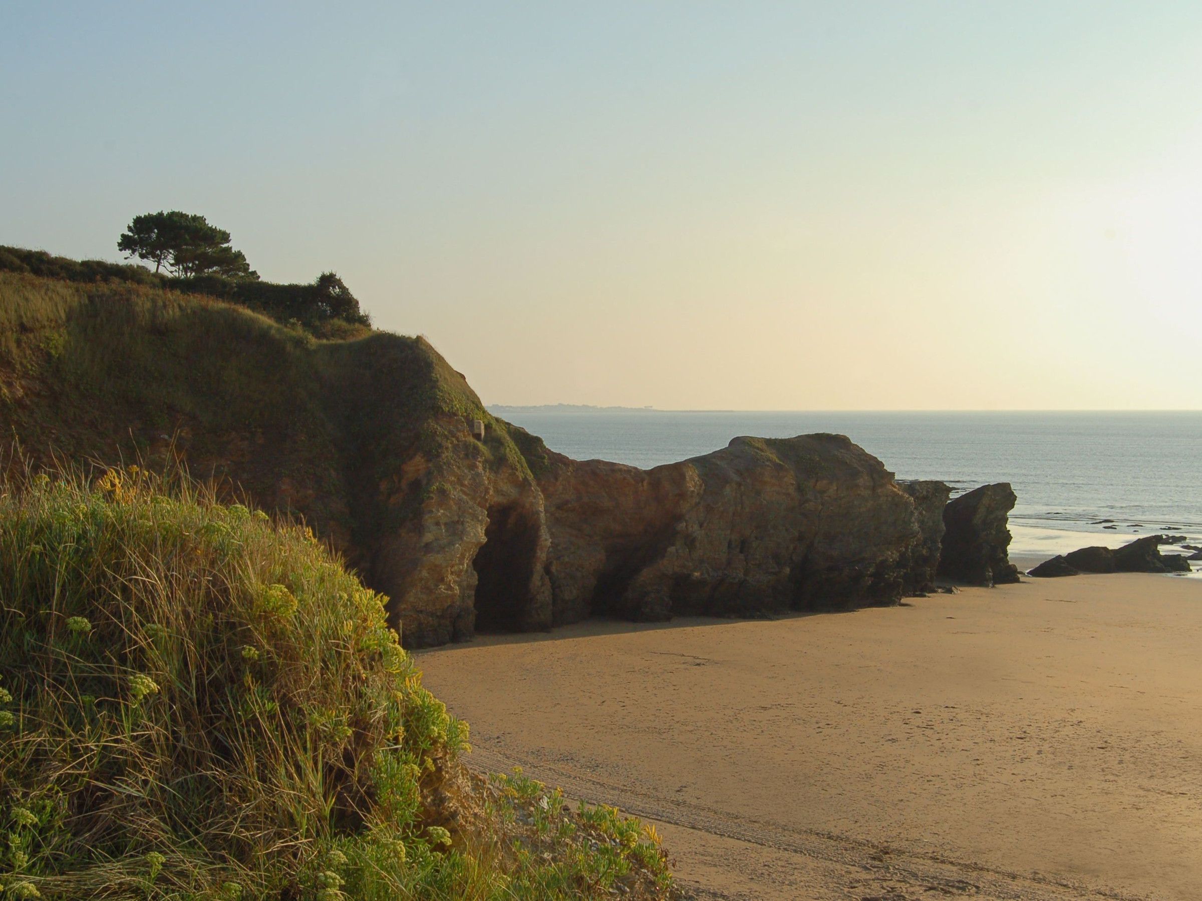 A coastal landscape with a sandy beach, rocky cliffs, and a tree.
