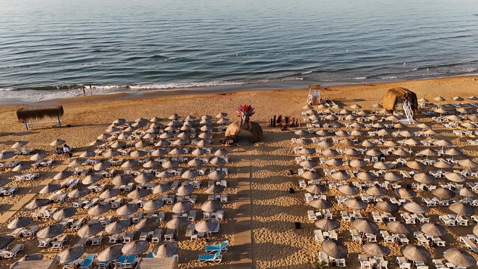 A beach with numerous sun loungers and umbrellas arranged in rows.