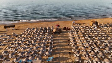 Una playa con numerosas tumbonas y sombrillas dispuestas en filas.