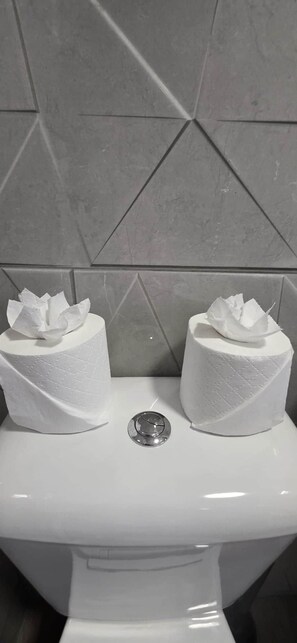 Eine Toilette mit zwei Toilettenpapierrollen und einem Spülknopf.