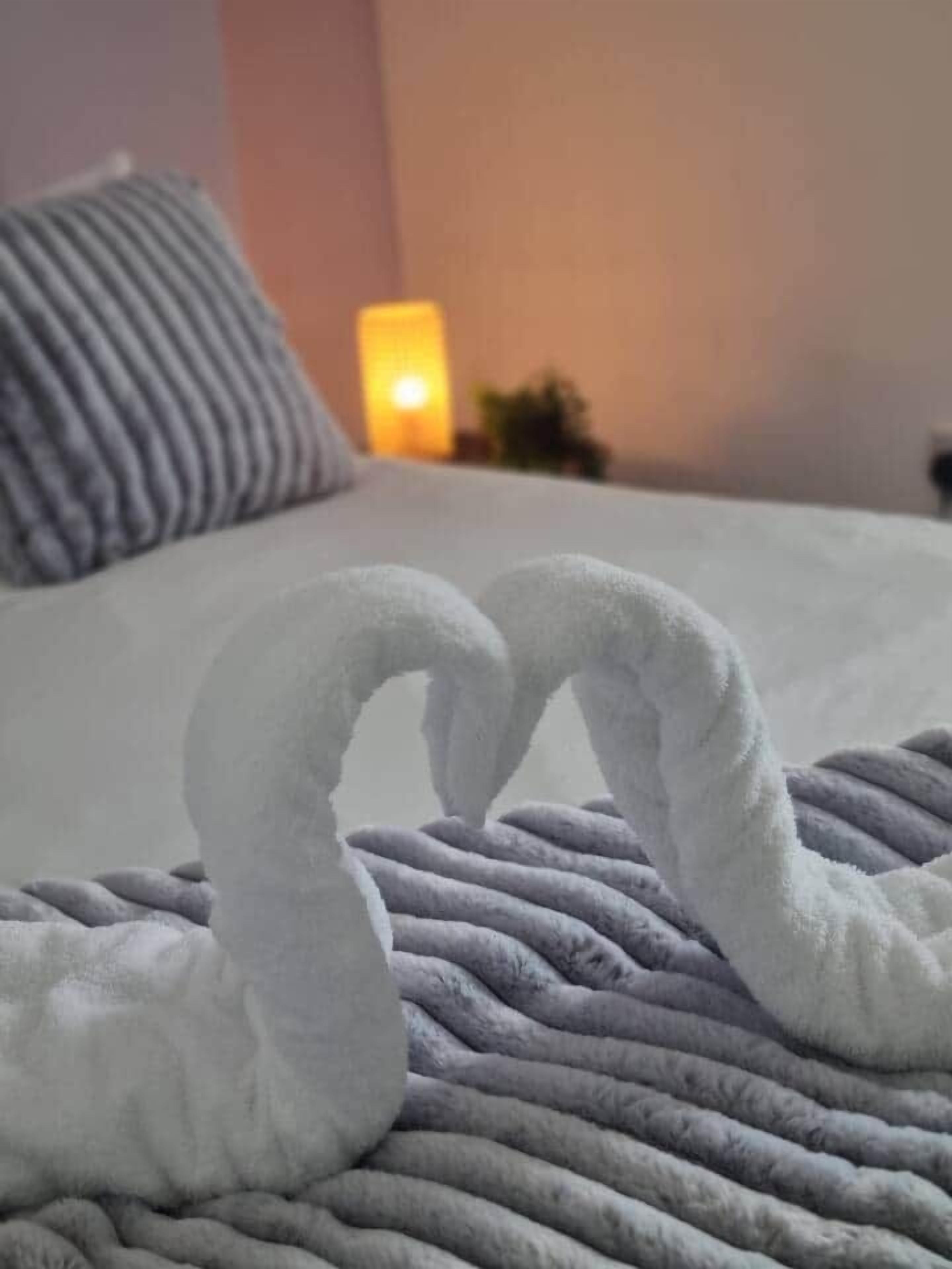 WiFi