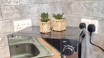Una cocina moderna con horno tostador empotrado, dos plantas en macetas y un lavamanos de acero inoxidable.