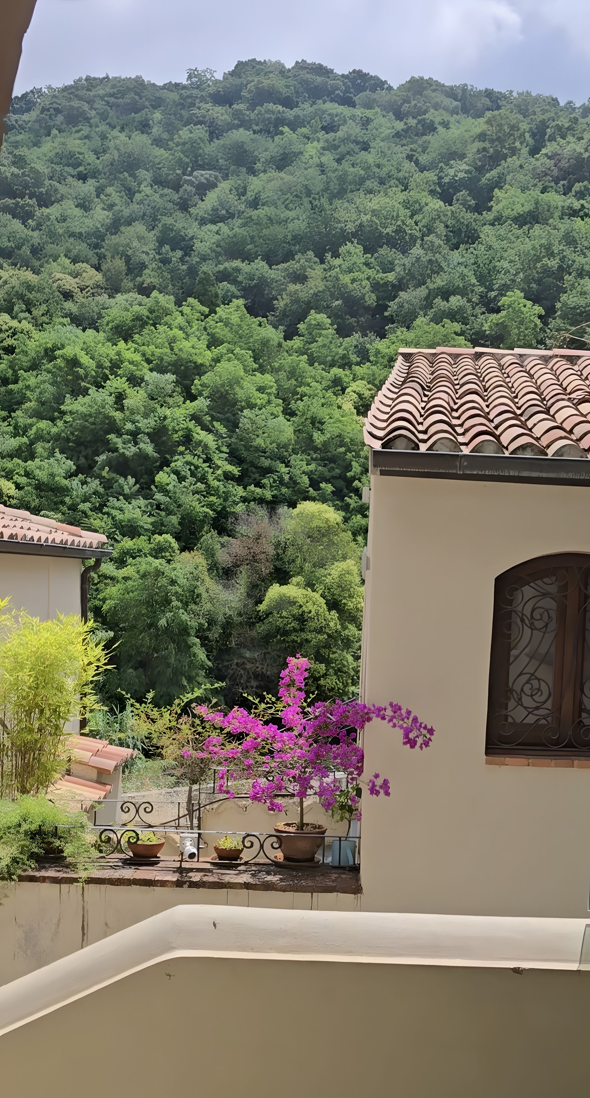 A building with a tiled roof and a balcony with potted plants and flowers.