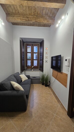 A compact living space with a sofa, a television mounted on the wall, a wooden ceiling, and a window with lace curtains.