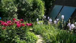 A garden pathway with various plants and flowers. - Apartment 'Fewo Ruthe' (Wehr)