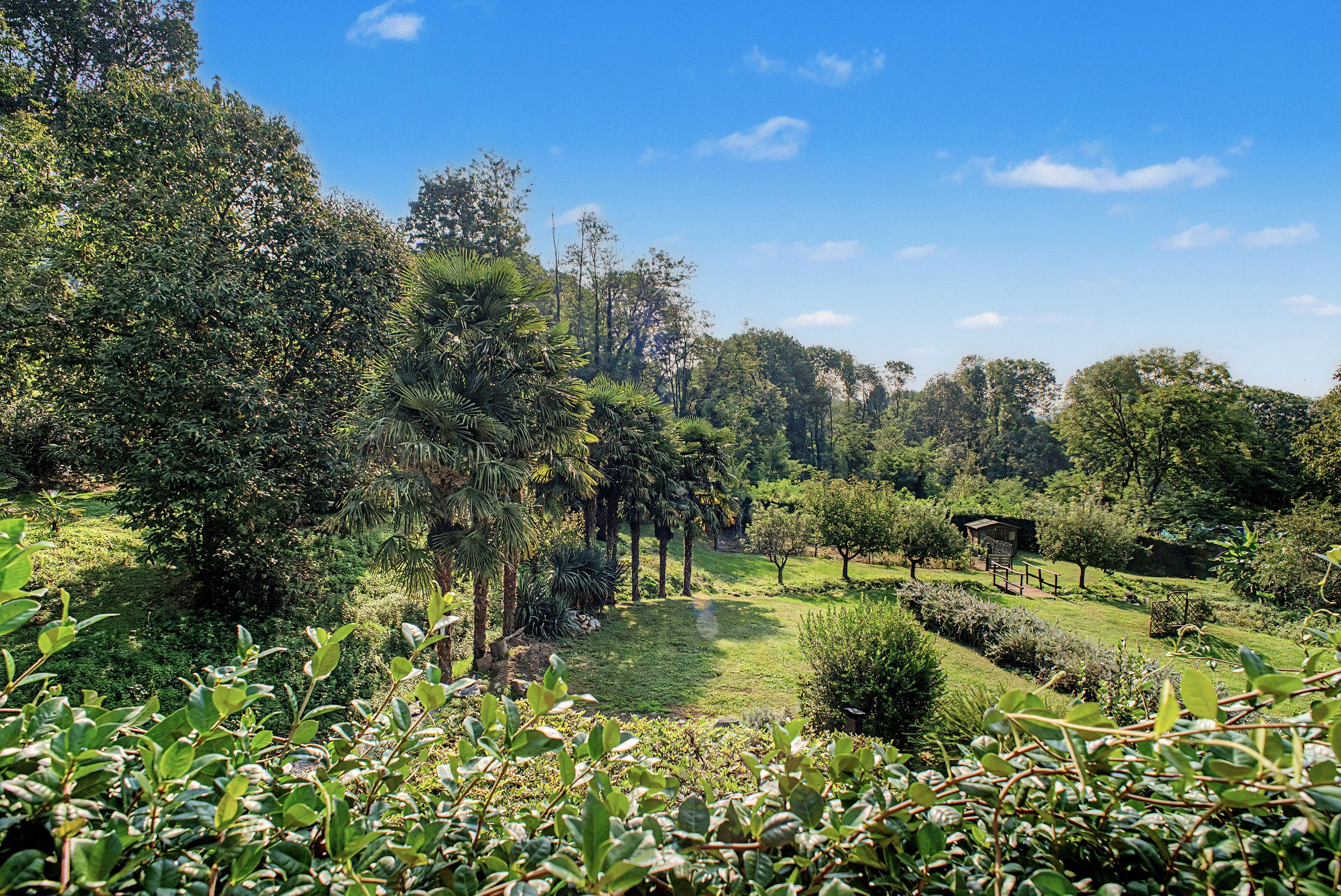 A lush garden with various trees and shrubs, a clear sky, and a small wooden structure.