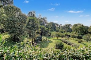 A lush garden with various trees and shrubs, a clear sky, and a small wooden structure.