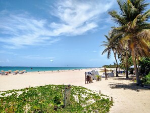 A beach with palm trees, a sandy shore, and a clear blue sky. - Suite 5 at Trinitaria House Hotel (San Juan)