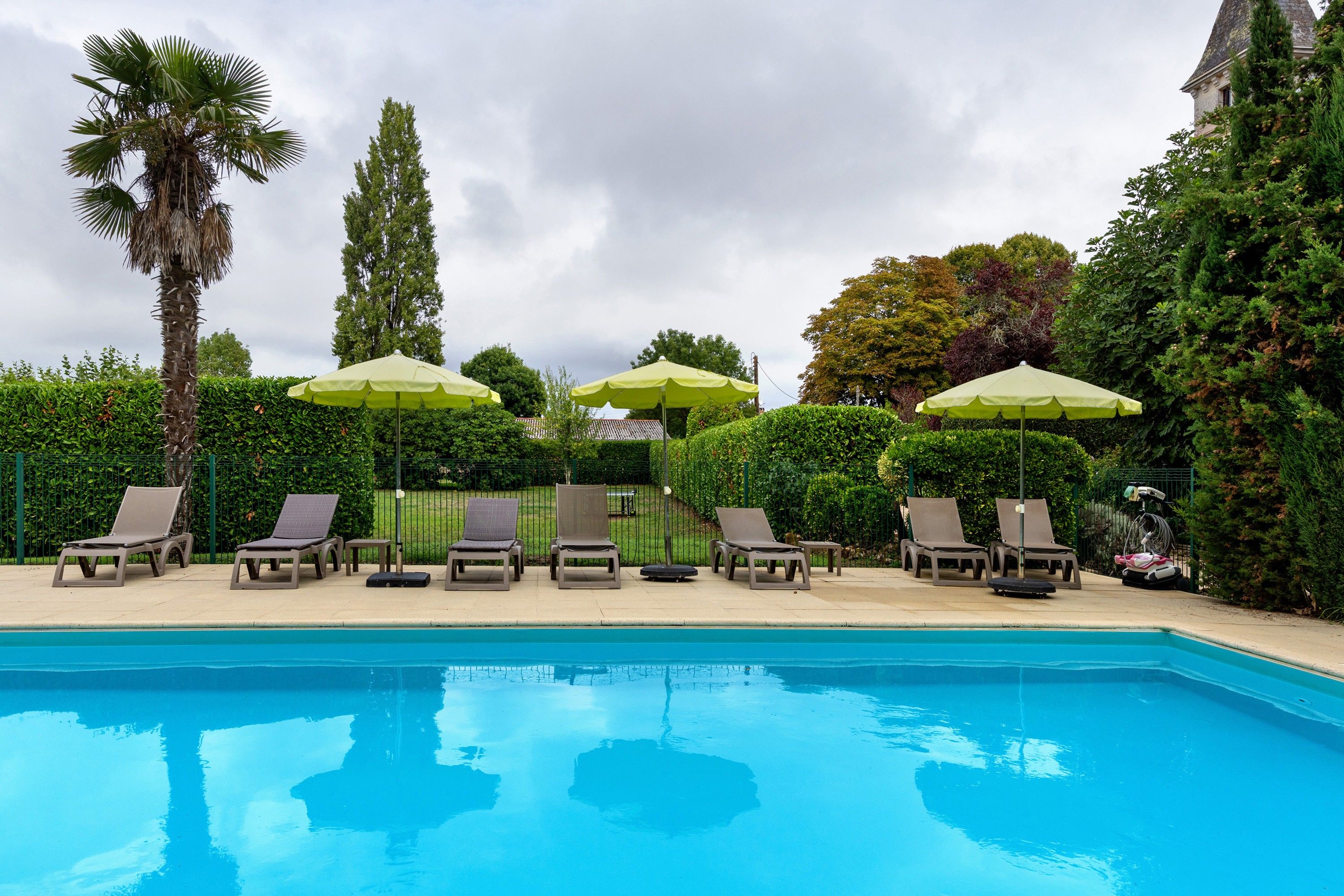 A swimming pool with lounge chairs and umbrellas, surrounded by greenery and a tall palm tree.