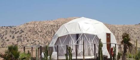 A dome-shaped tent with a door, surrounded by desert vegetation and a hilly landscape.