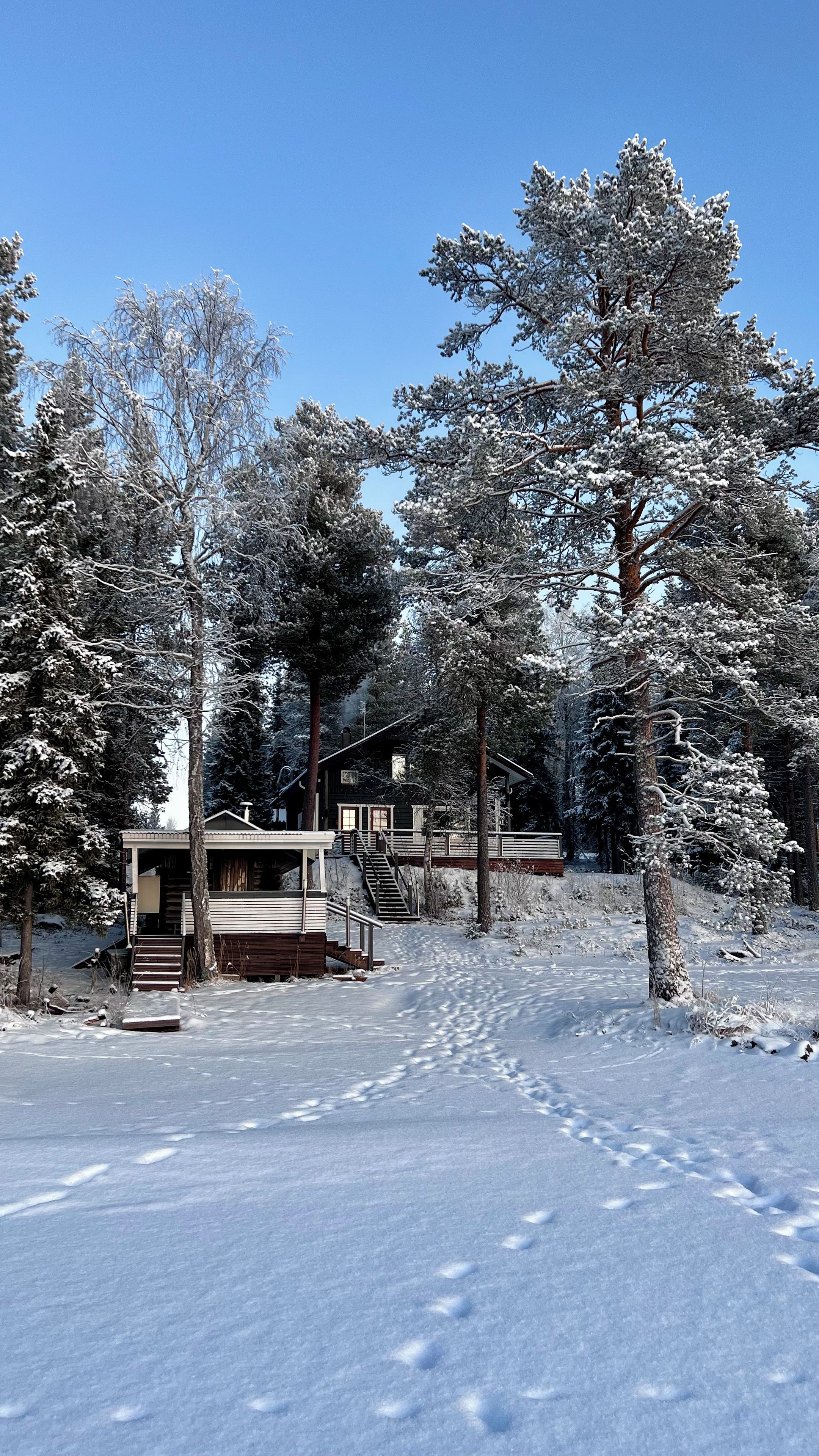 A cabin surrounded by snow-covered trees, with a clear sky above.
