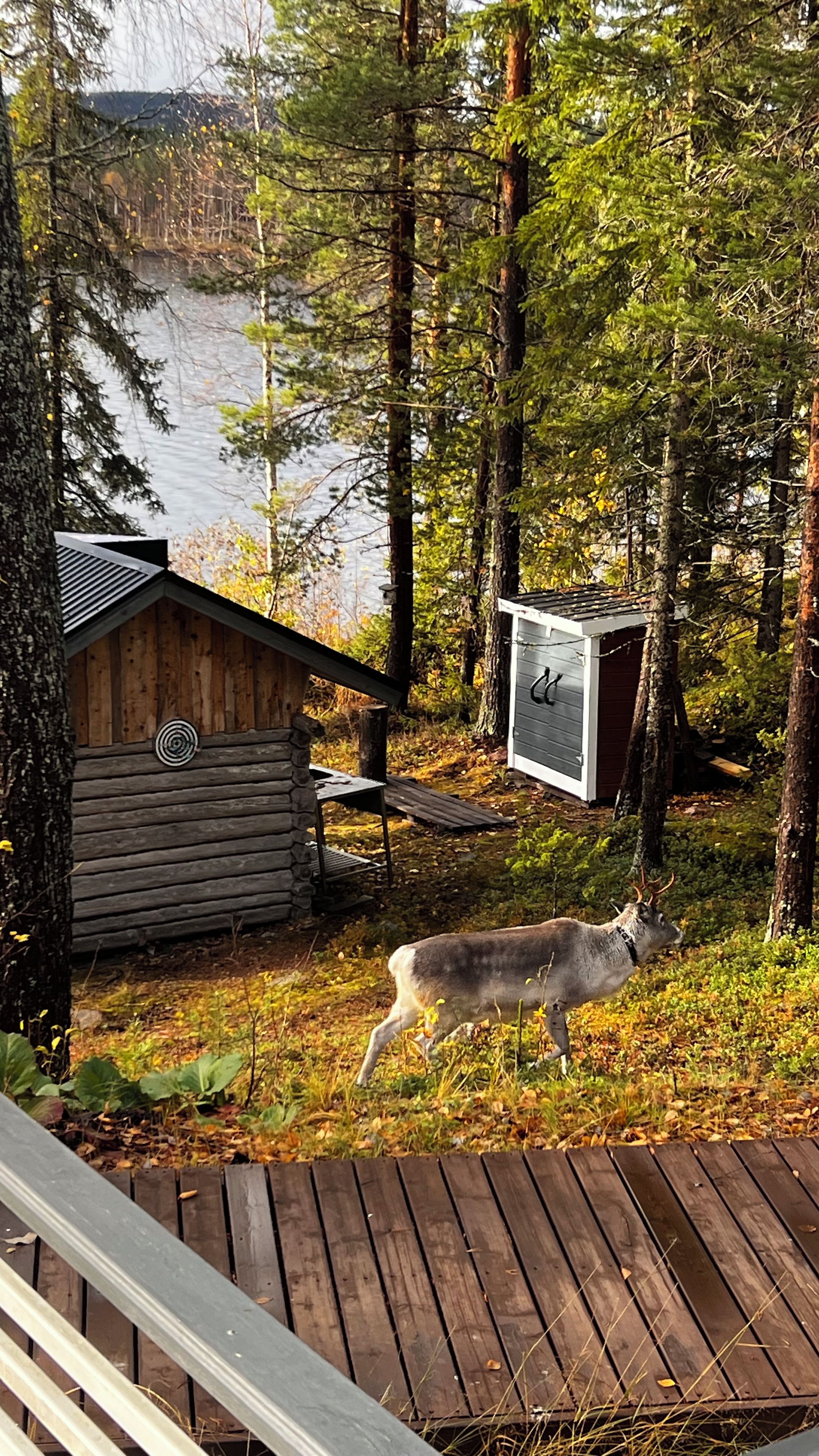 A cabin with a wooden deck and a small shed, surrounded by trees and a lake.