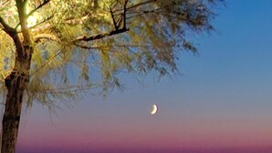Duas cadeiras de praia sob uma árvore perto da água, com uma lua crescente no céu.
