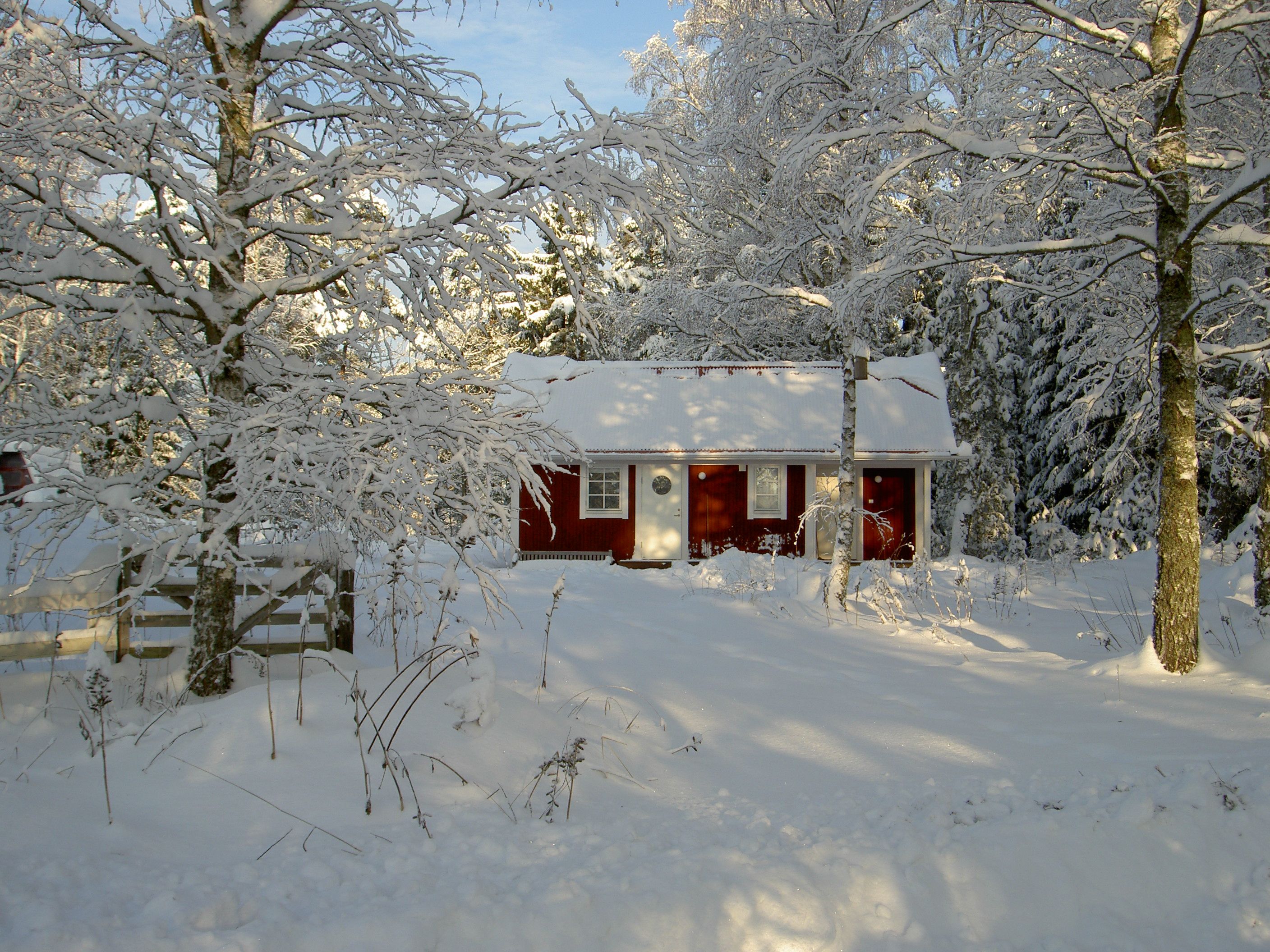 En snötäckt stuga med röda väggar, omgiven av träd och ett trästaket.