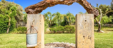 A rustic outdoor structure with a metal bucket and a flat surface, possibly for seating or decoration, set against a backdrop of greenery and trees.