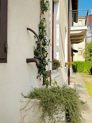 A building with a white exterior, a metal door, and a small garden area with plants.