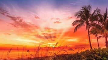 Un coucher de soleil sur une plage, avec des palmiers et de l'herbe au premier plan.